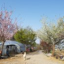 동희농장 이미지