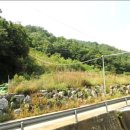 동해시-23 이미지