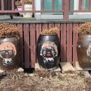 강화해미르바닷가스파오션뷰펜션 이미지