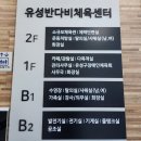 유성종합스포츠센터 1층 | 유성종합스포츠센터 반다비체육센터 저렴한 비용으로 수영장 강습 및 체육시설 이용