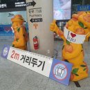 중귤농장 이미지