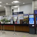 구민회관 | 종로구민회관 수영장 강습 자유수영 후기