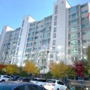 조은맘약국 이미지