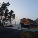 장자도섬이야기하우스 네이버블로그