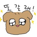 로드3521 이미지