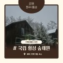 횡성 가족여행가기 좋은 국립 횡성 숲체원 숙소 예약방법, 숲체험 프로그램, 가격, 뒷말 N2