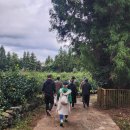 와산마을 이미지