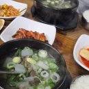 스테이 도기&도트 | 군산여행 : 무녀도-선유도-장자도-관리도 섬트레킹