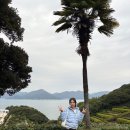 씨월드 관광호텔 | 가을 명소 추천, 거제도 해금강 &amp; 외도보타니아 후기 (지세포관광유람선)