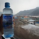 솔게스트하우스 정동진점 | [여자혼자 15 동계내일로] 첫째날 서울 ▷ 정동진 : 솔게스트하우스 정동진점