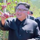 행렬농장 이미지