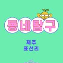 표선면 표선리 600-8 | [제주 표선리] 동네탐구 — 우리가 몰랐던 600년 동네의 이야기