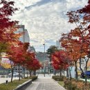 도담동_싱싱장터앞BRT 이미지