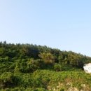 남해-236 이미지