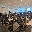 유플렉스짐 티스토리