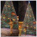 등대카서비스 | 여수 가볼만한곳 아기랑 여수 케이블카 예약