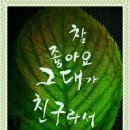 부곡초 이미지