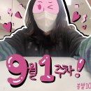 옥터펍스타코야끼 | 9월 1주차 일상 : 패디과 4학년 2학기 일기😿,서경대 맛집 카페 학식(블챌10)
