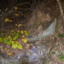 태극농장 이미지