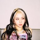 헤어쇼앤위그 이미지