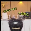 헤이븐 맨즈헤어