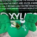 덴탈숲 | [트랜드 LAB] 롯데 자일리톨 LAB 팝업스토어 방문 후기 (11/6)