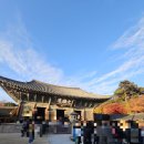 불국사 | 경주 불국사 단풍 후기 국내 단풍명소