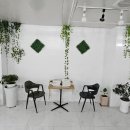 태전 유도 멀티짐 이미지