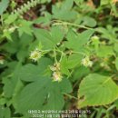 구평동-14 이미지