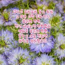 마디신통의원 | 갓 쓴 양반들의 性 담론 - 불륜. 중앙일보