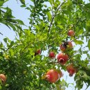 금강스튜디오 이미지