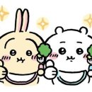 걸리버막창 동대구역점 이미지