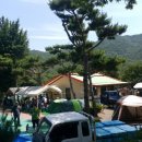 홍산관광농원 캠핑장 이미지
