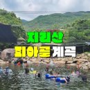 지리산 계곡 노아펜션 이미지