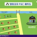 캠핑포유펜션 이미지