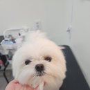 연두미용실