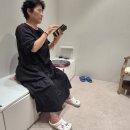 [포항 바디닥터]타제품과 비교불가!고성능 케겔운동기기/gn헬스케어 바디닥터 사업