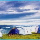 서초중앙로24길 19 이미지