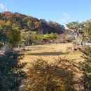 덕산수목원 이미지
