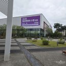 롯데몰 횡단보도 | 수원 케이펫페어 시즌 3 간략한 후기 및 주차 꿀팁
