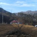 숲속 게르 하우스 이미지