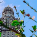 정산영농조합법인 이미지