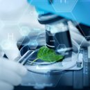 서일기획 이미지