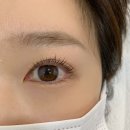 모모브릿지 | 속눈썹펌 언더펌 : 합정속눈썹펌 미미모모 후기