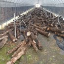 다올농장 이미지