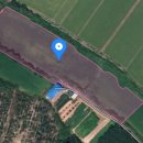 세지면사무소기타 이미지