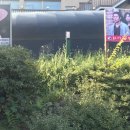 임진강민물장어 이미지