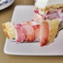 더캠프PC청라점 | 대구딸기케이크 원조 계산성당뷰 커피명가 캠프바이커피명가 후기