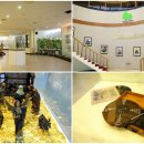 자동차랜드 이미지