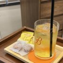 PAYCO정기과금_2 | 강남구청역 미용실 비오른헤어 청담점 톤다운염색 두피케어 꼼꼼한 곳 후기